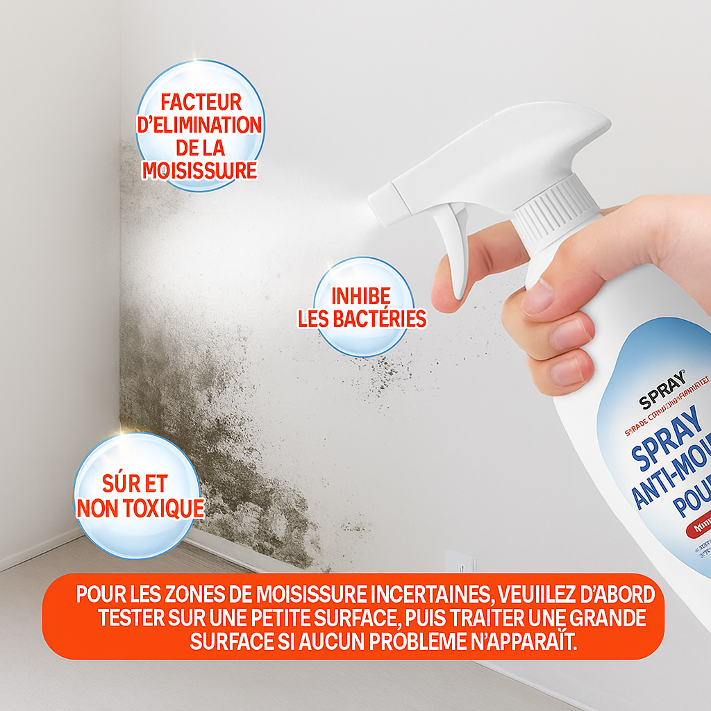 Spray Anti-Moisissure