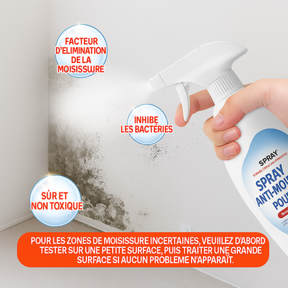Spray Anti-Moisissure