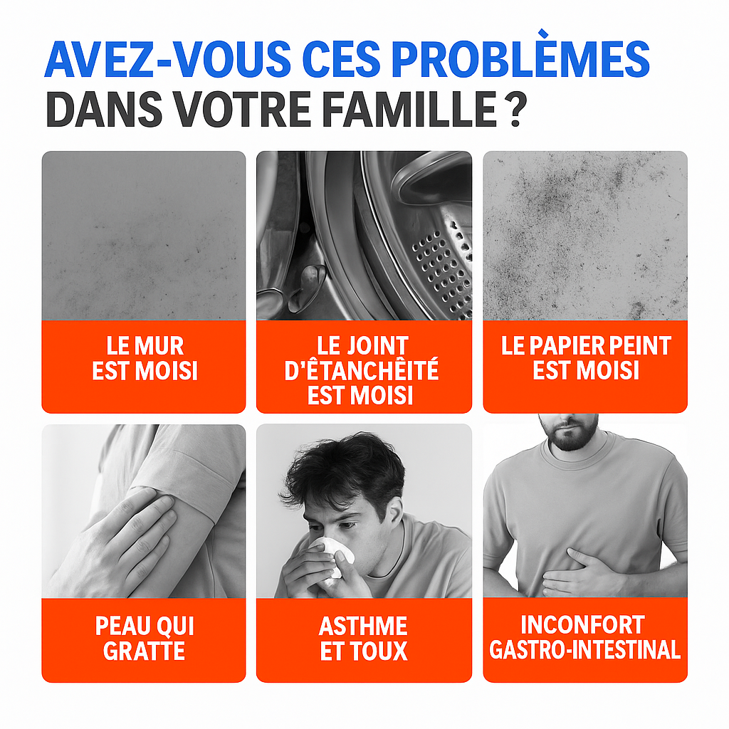 Spray Anti-Moisissure