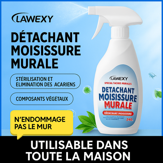 Spray Anti-Moisissure